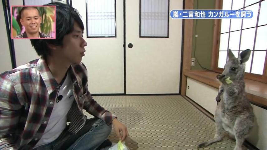 必修知识：日本整蛊综艺为何要用烫臭鱼进行整蛊？