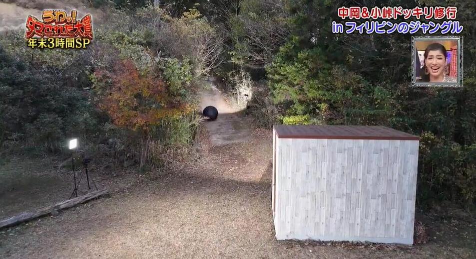 揭秘日本减肥励志综艺的名字是什么？